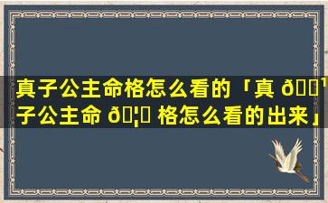 真子公主命格怎么看的「真 🌹 子公主命 🦈 格怎么看的出来」